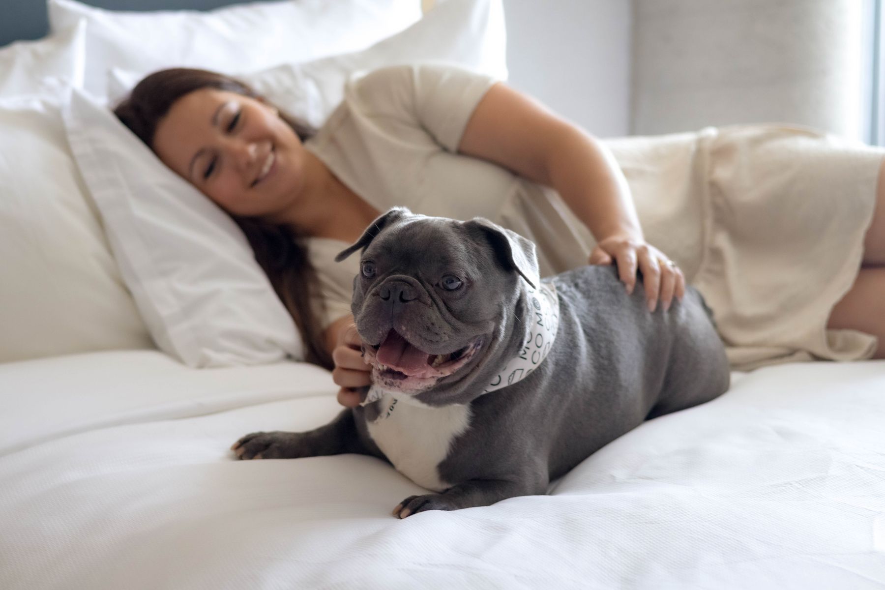 Personne souriante caressant son bouledogue gris sur un lit
